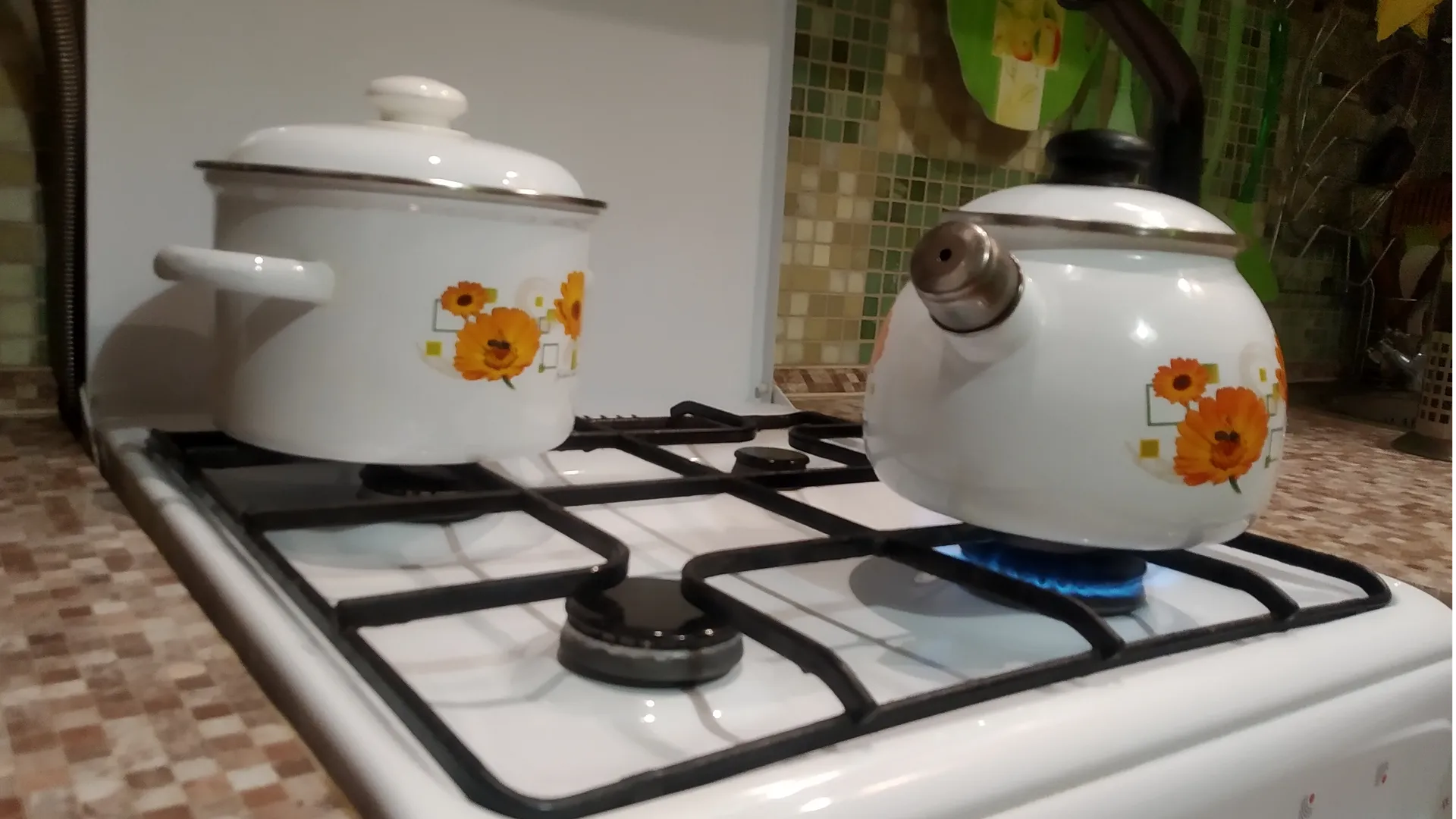 Фото: Татьяна Синельникова