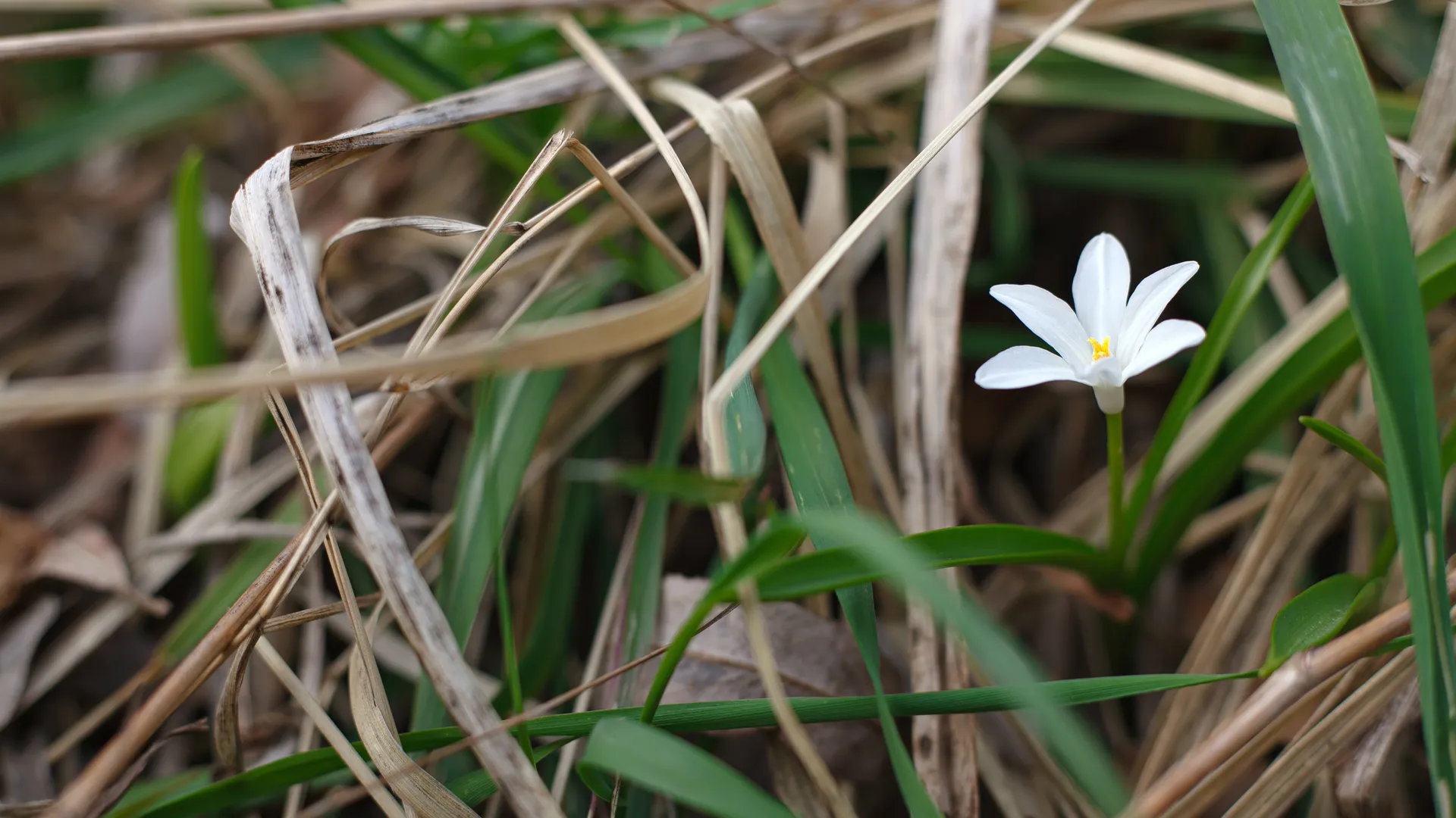медиасток.рф