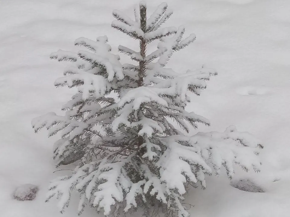 Фото: Елена Быховская