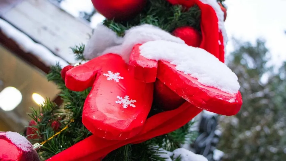 Фото: t.me/parkidmd