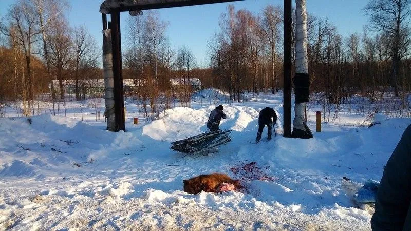 Чехов Вид, Читают Все/vk.com