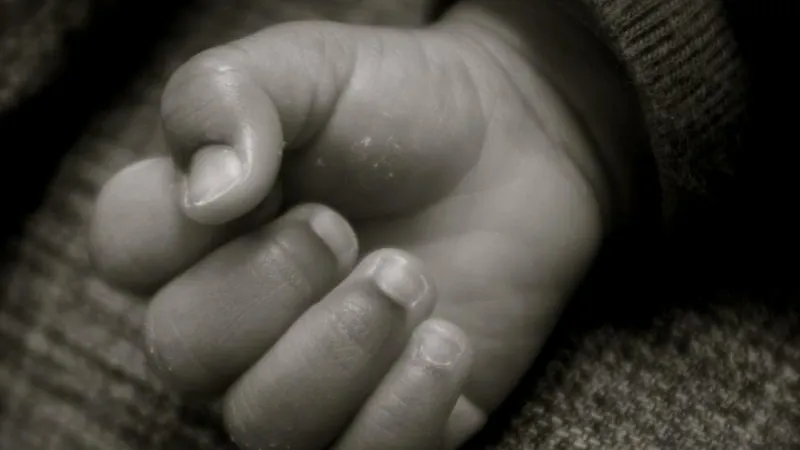 Cindy McMillion / flickr