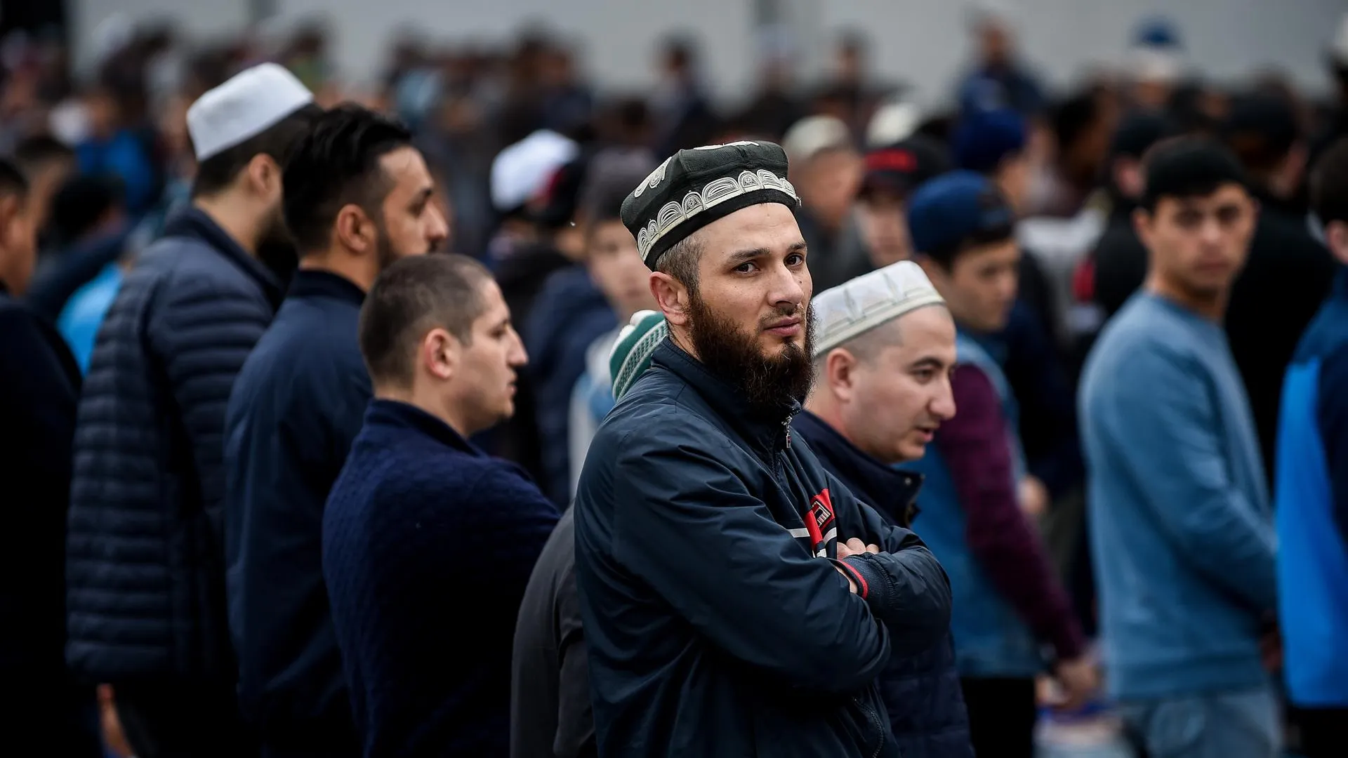 медиасток.рф