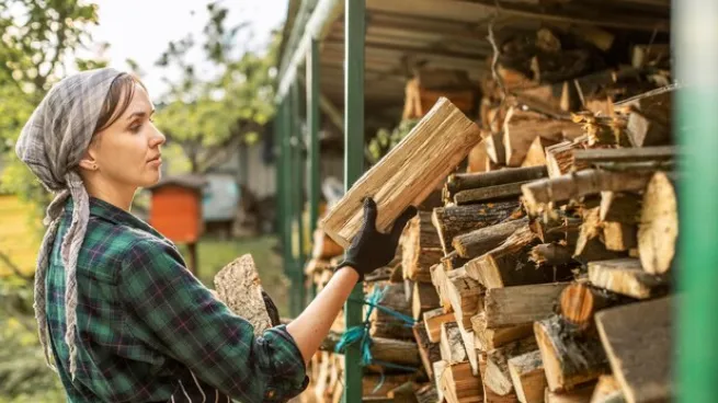 Фото: ru.freepik.com