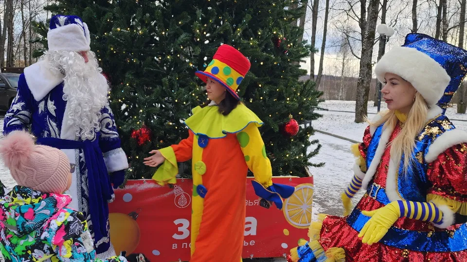 Фото: МедиаБанк Подмосковья/Дмитрий Беденко