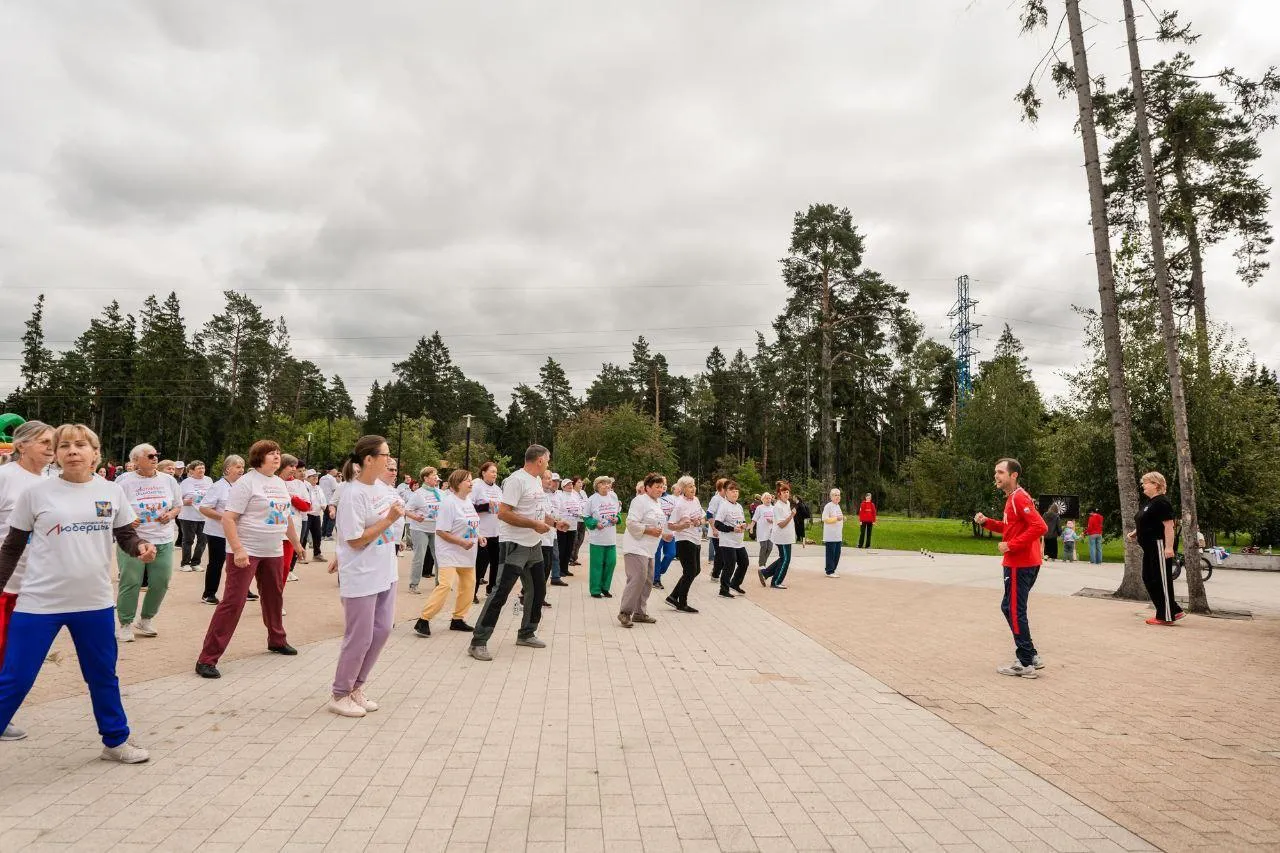 Фото: Министерство социального развития Московской области