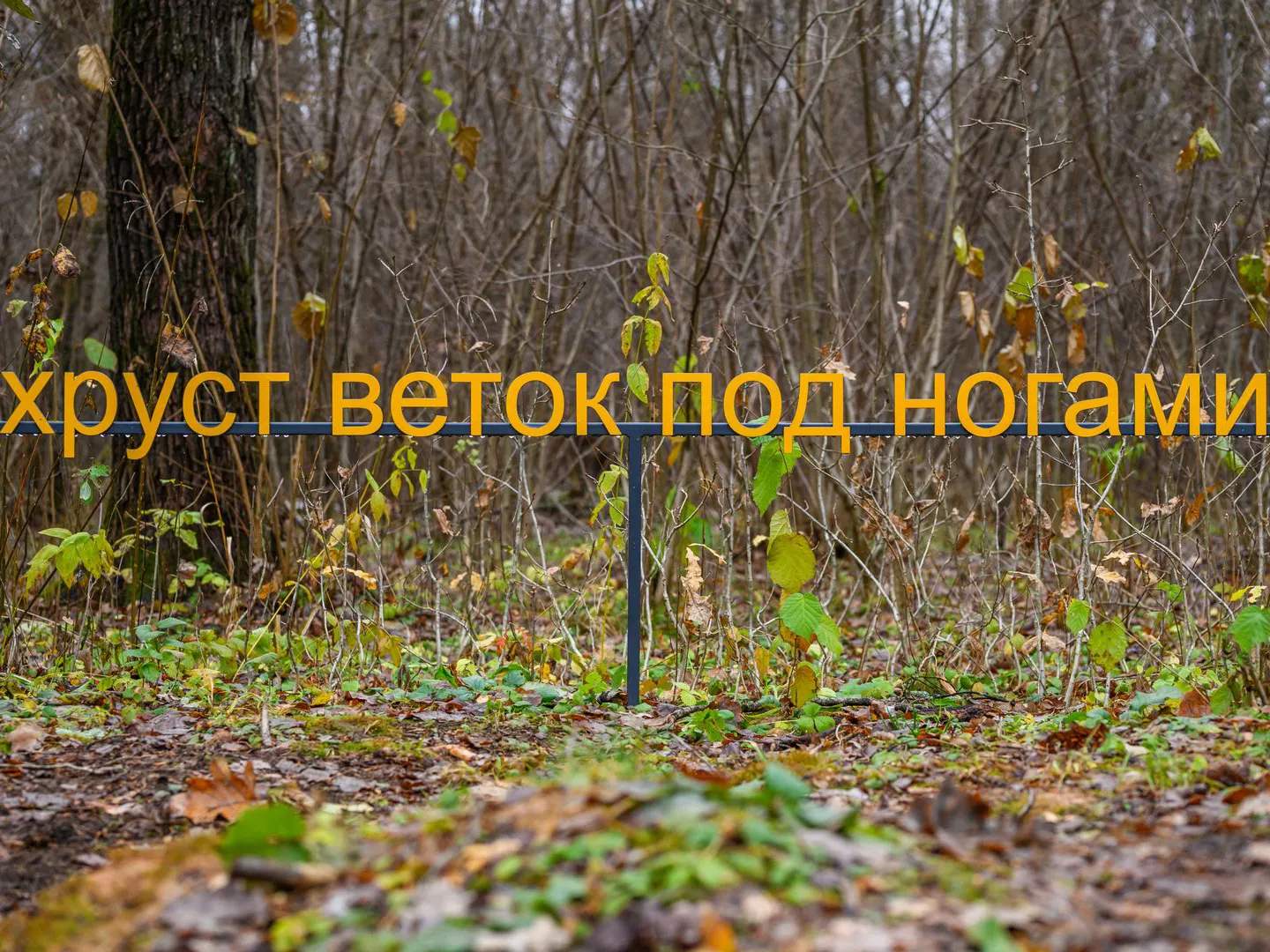 Фото: медиасток.рф