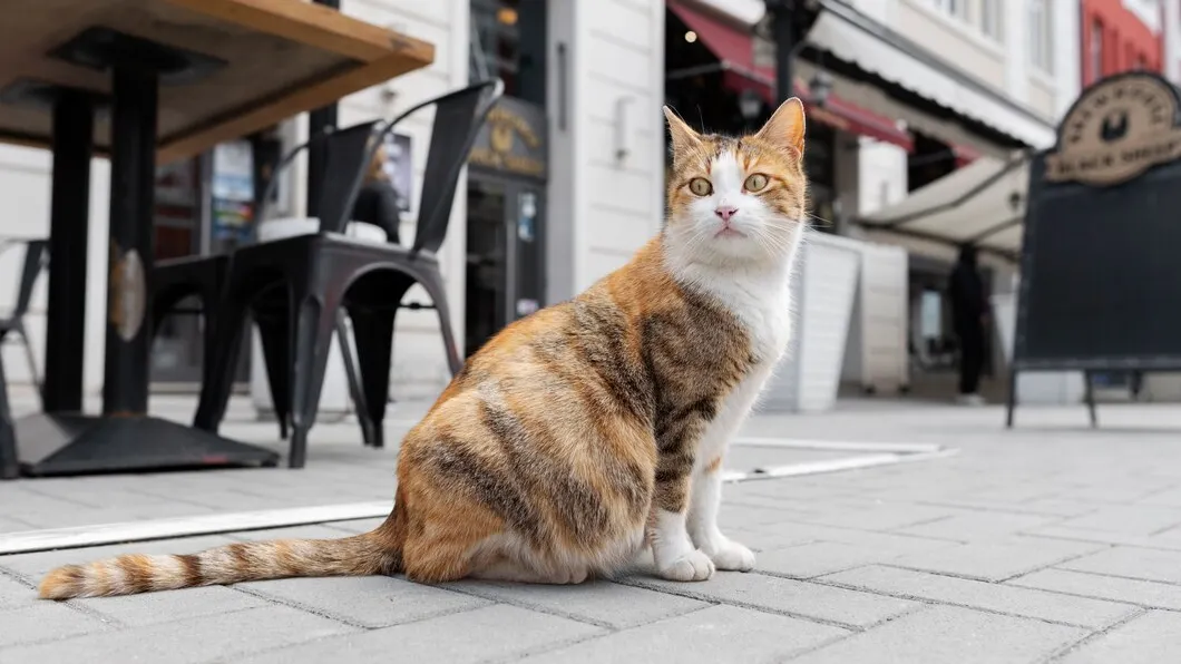 Фото: freepik.com