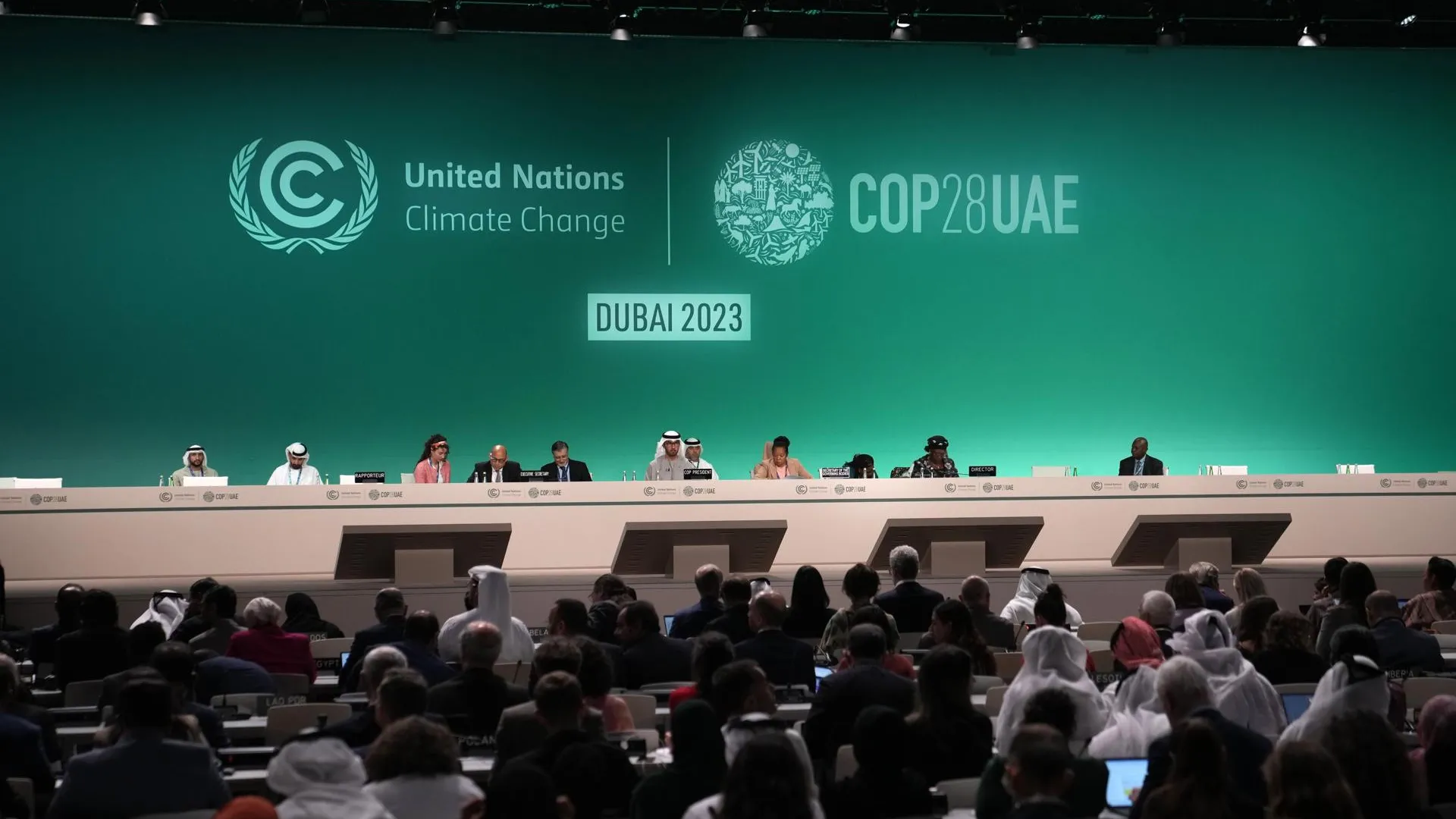 Климатолог рассказал о результатах COP28