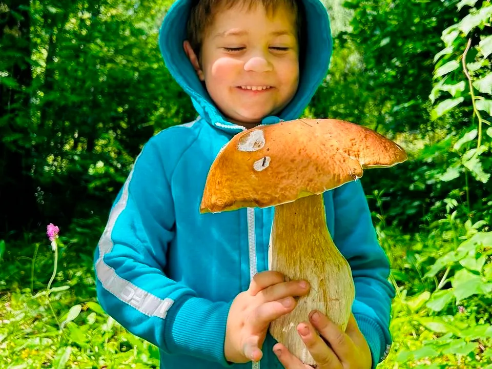 Фото: REGIONS.RU/Елизавета Мелентьева