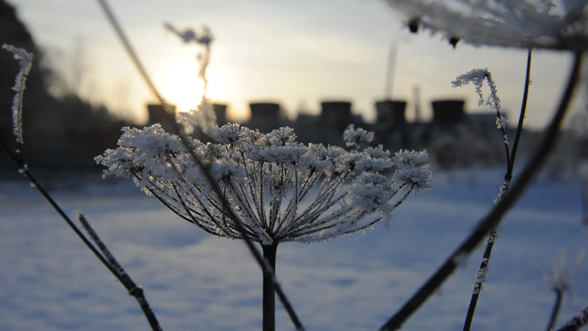 медиасток.рф