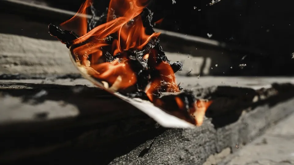 Фото: freepik.com