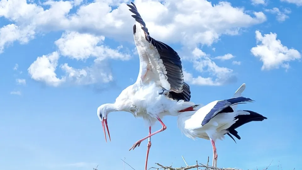 Фото: pxhere.com