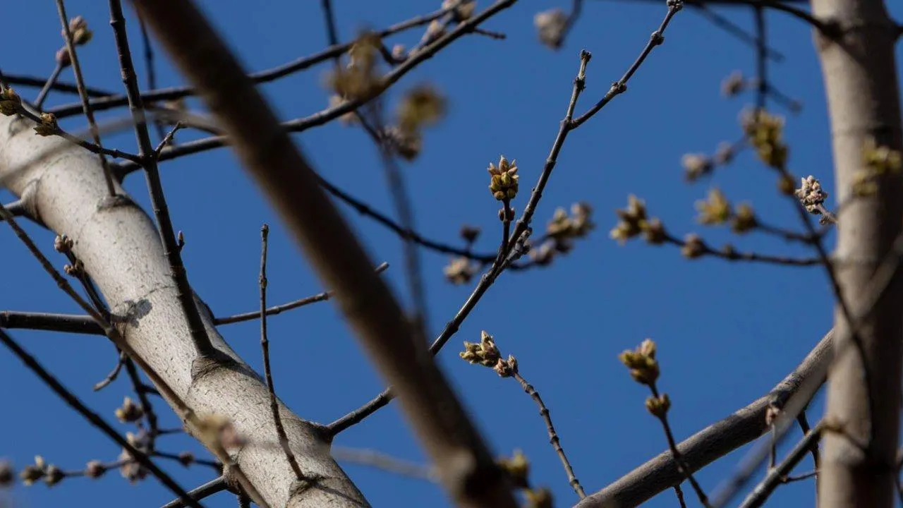 REGIONS/Роман Малышенко