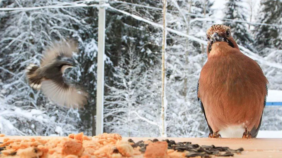 Фото: Музей-заповедник Д.И. Менделеева и А.А. Блока