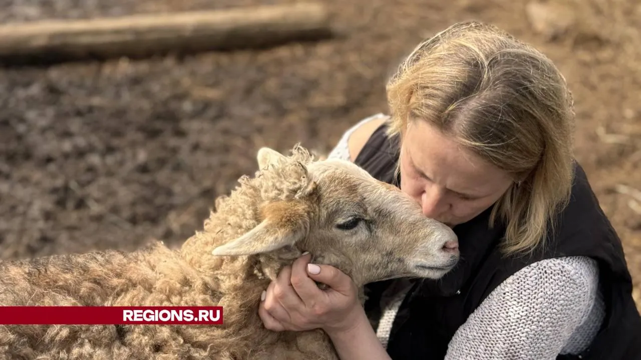 Фото: Татьяна Рунова