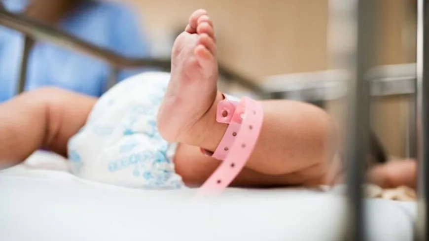 Фото: Freepik.com