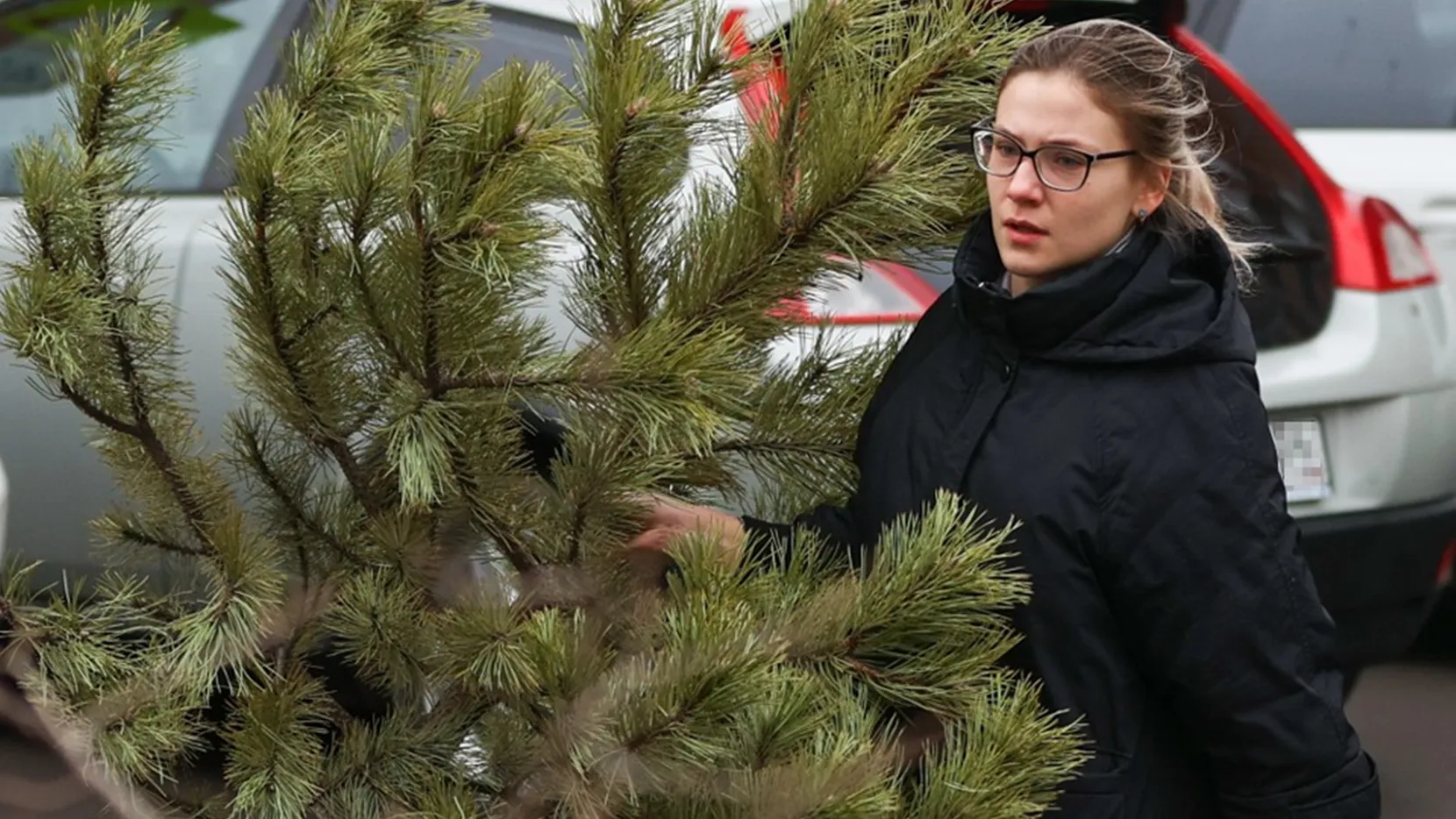 Фото: ТАСС/Эрик Романенко