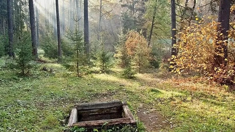 Легенды Серебряных прудов