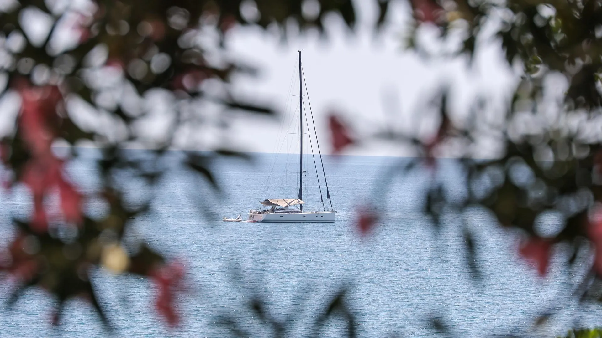 Petrov Sergey/news.ru