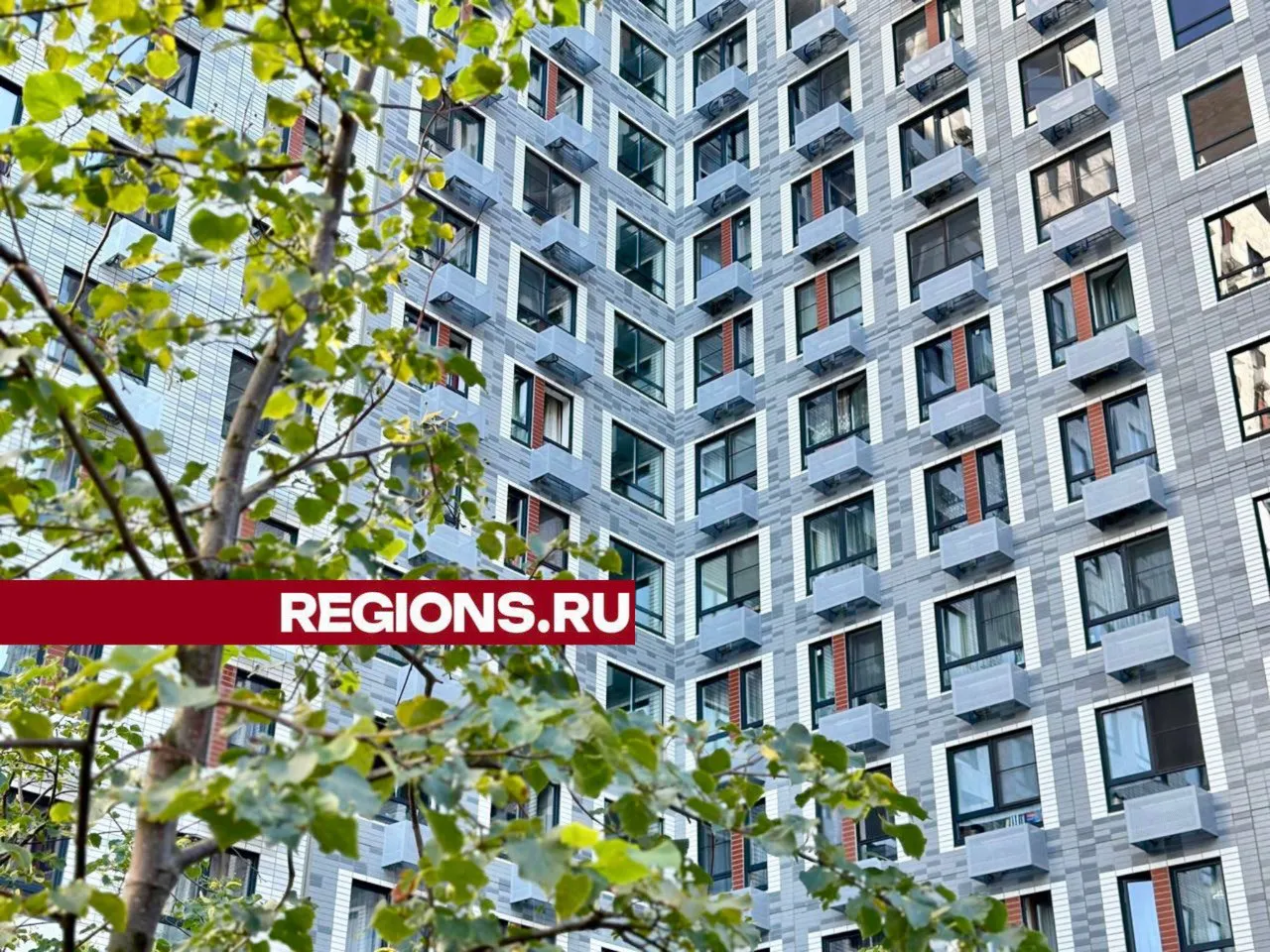 Фото: REGIONS/Сергей Сомов