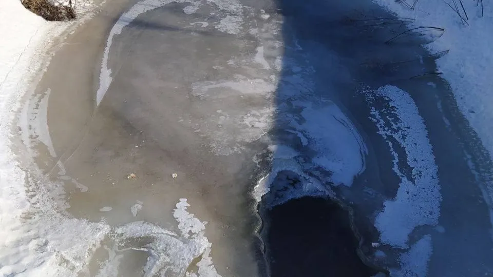 Фото: Министерство экологии и природопользования Московской области