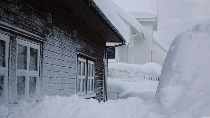 Кому молились наши предки 8 декабря
