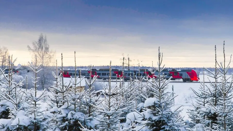 Фото: МТППК