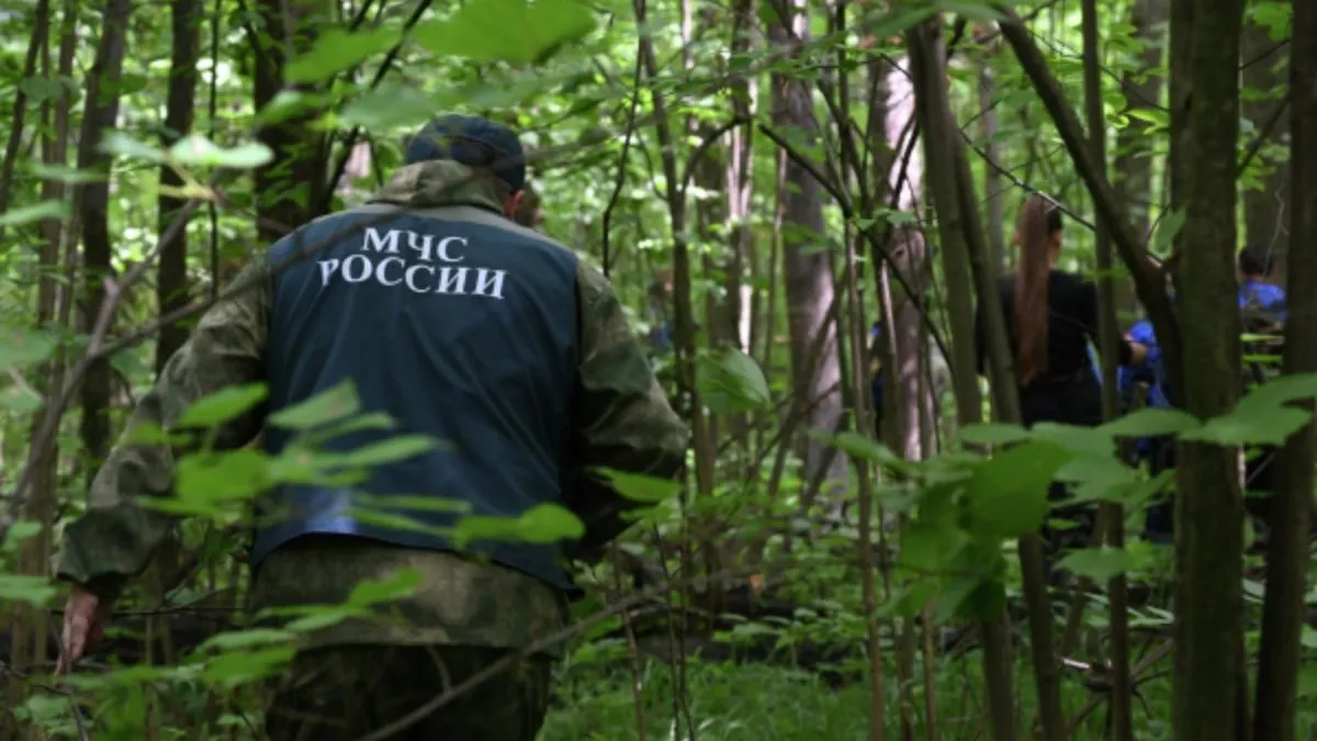 В МЧС предоставили новые данные о количестве пострадавших при крушении вертолета на Алтае