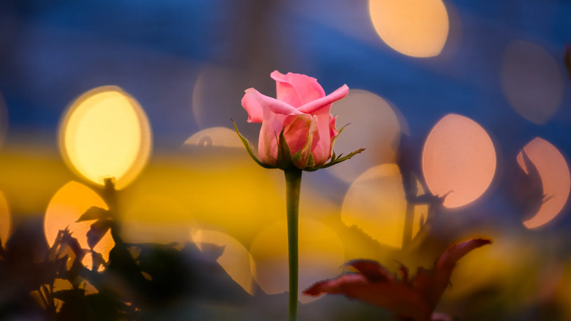 медиасток.рф