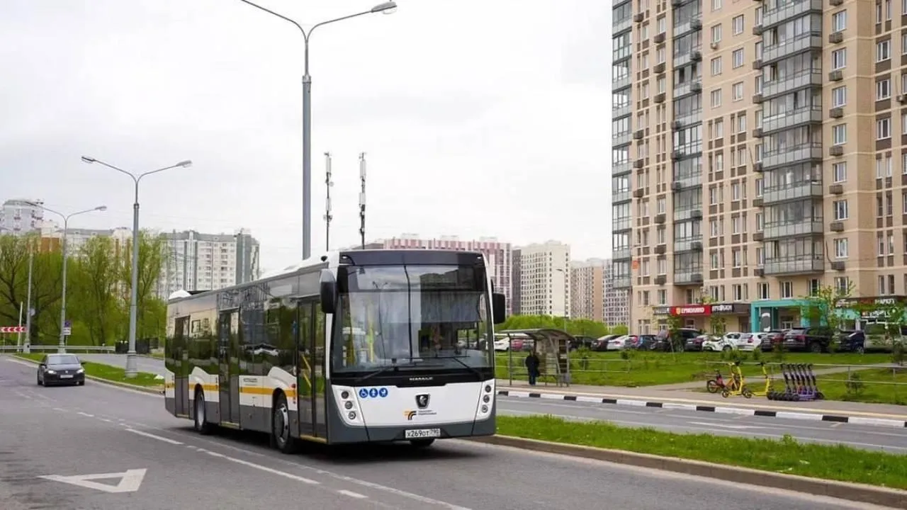 Список маршрутов до пляжных зон представили в Подмосковье