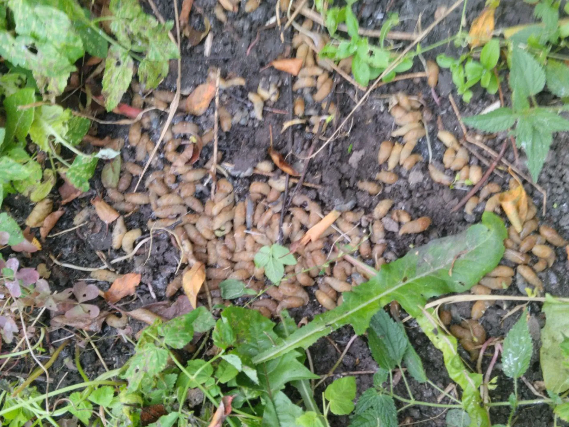 Фото: Андрей К.