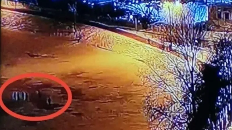 Дети, гуляющие у промоины на пруду, напугали жителей Дмитрова