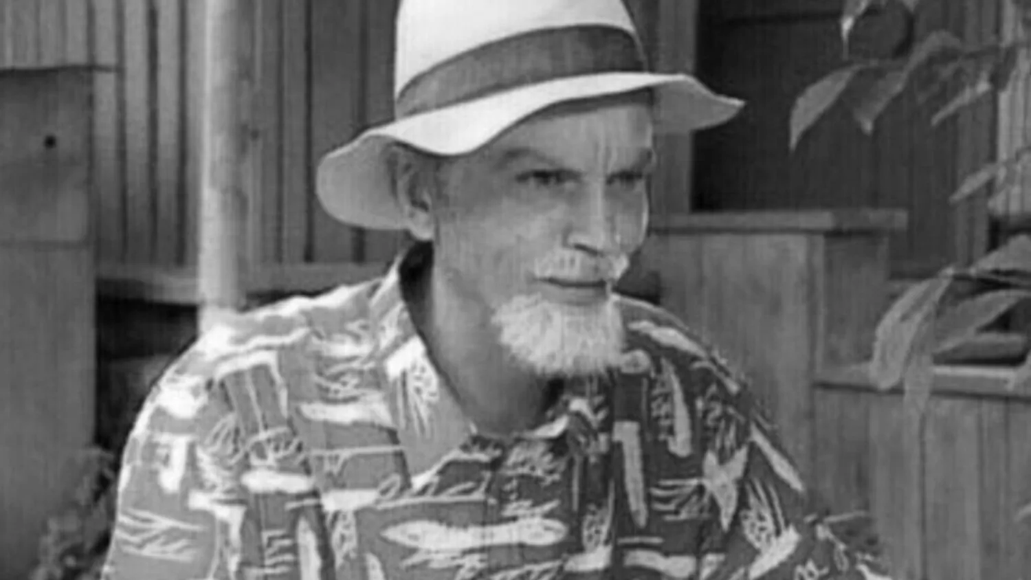 «33 квадратных метра»