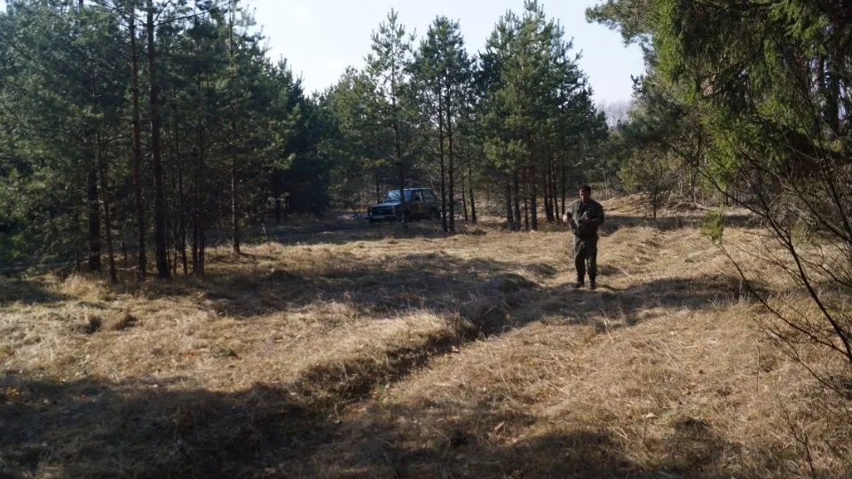 Фото: Комитет лесного хозяйства Московской области