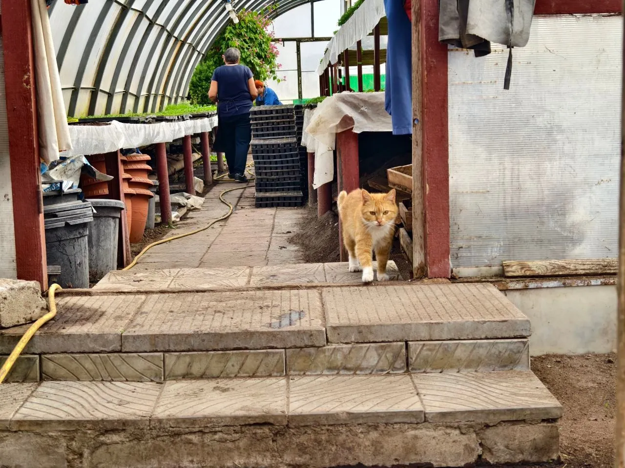 Фото: пресс-служба администрации Серпухова