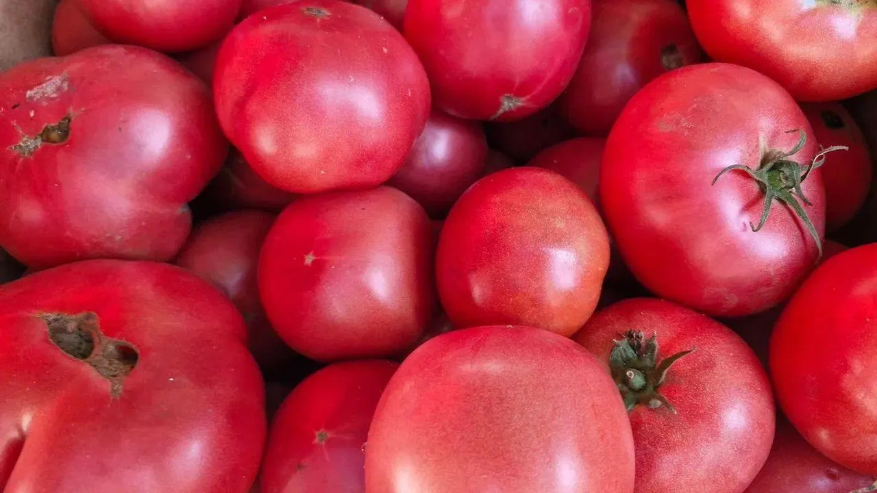 REGIONS/Наталья Надточая