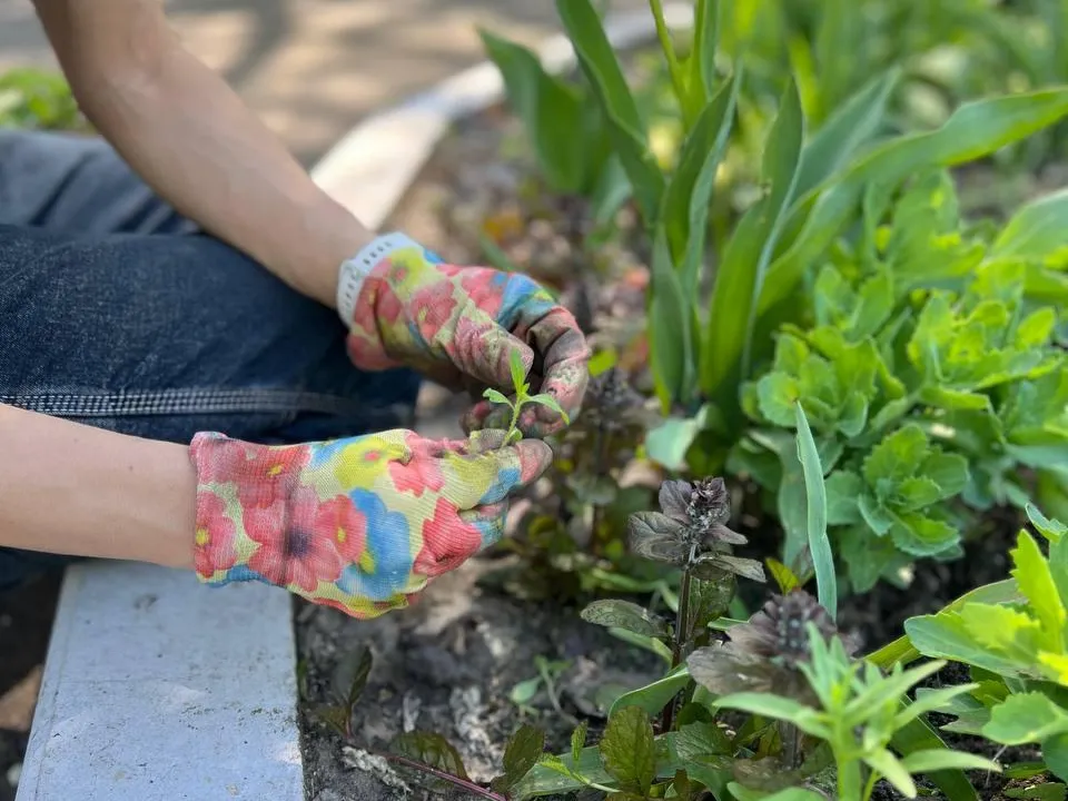 Фото: пресс-служба МОДКТОБ/Елизавета Кукушкина