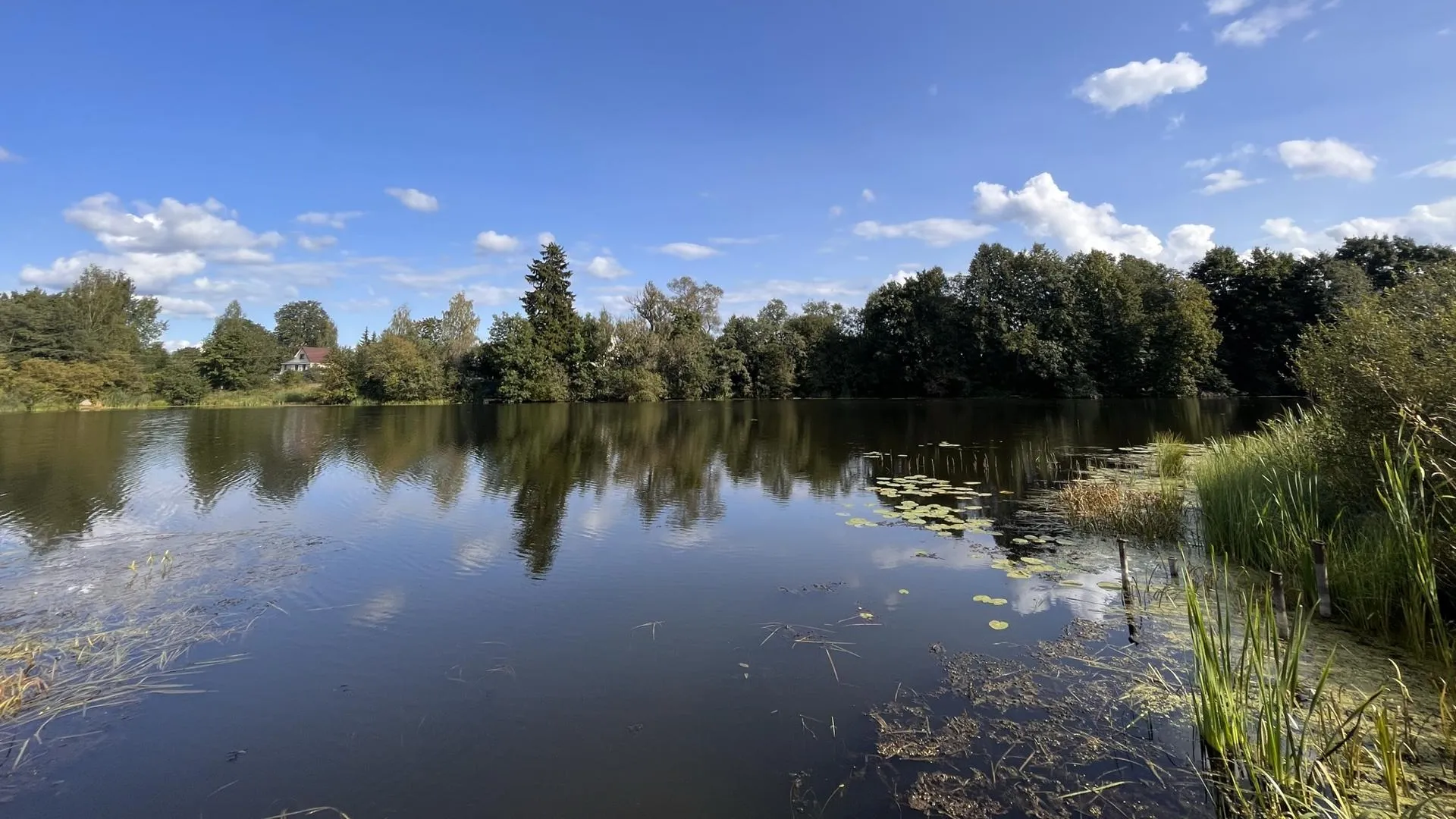 Татьяна Рунова