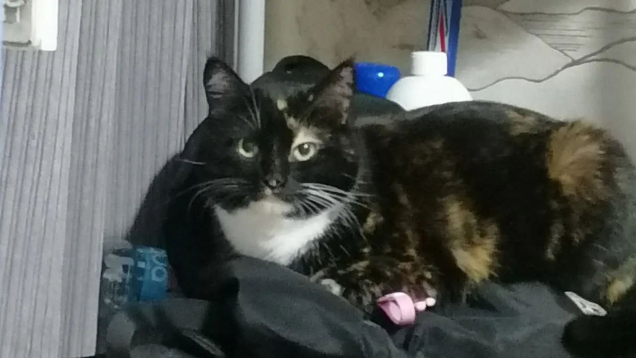 Фото: Наталья Широкая