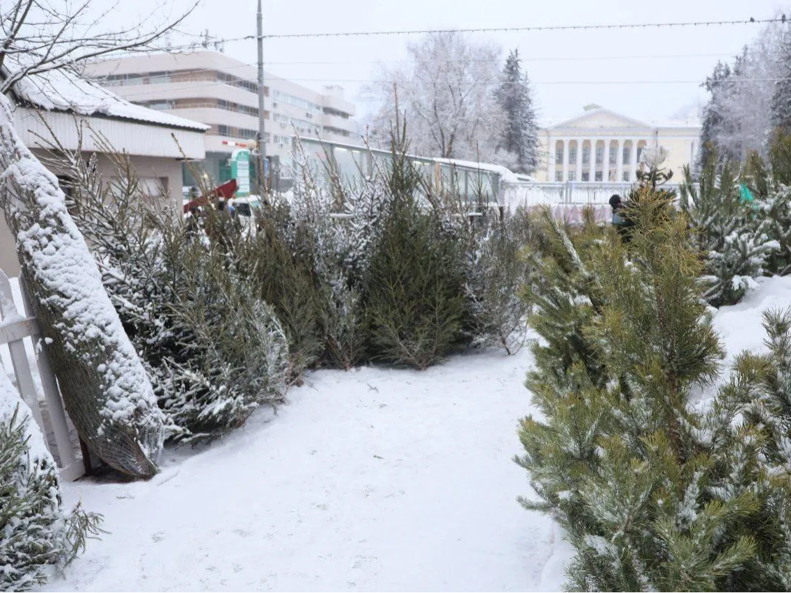 Фото: пресс-служба администрации Сергиево-Посадского г.о.