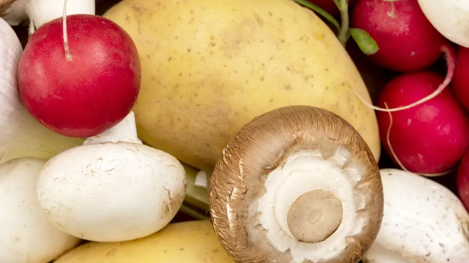 Фото: freepik.com