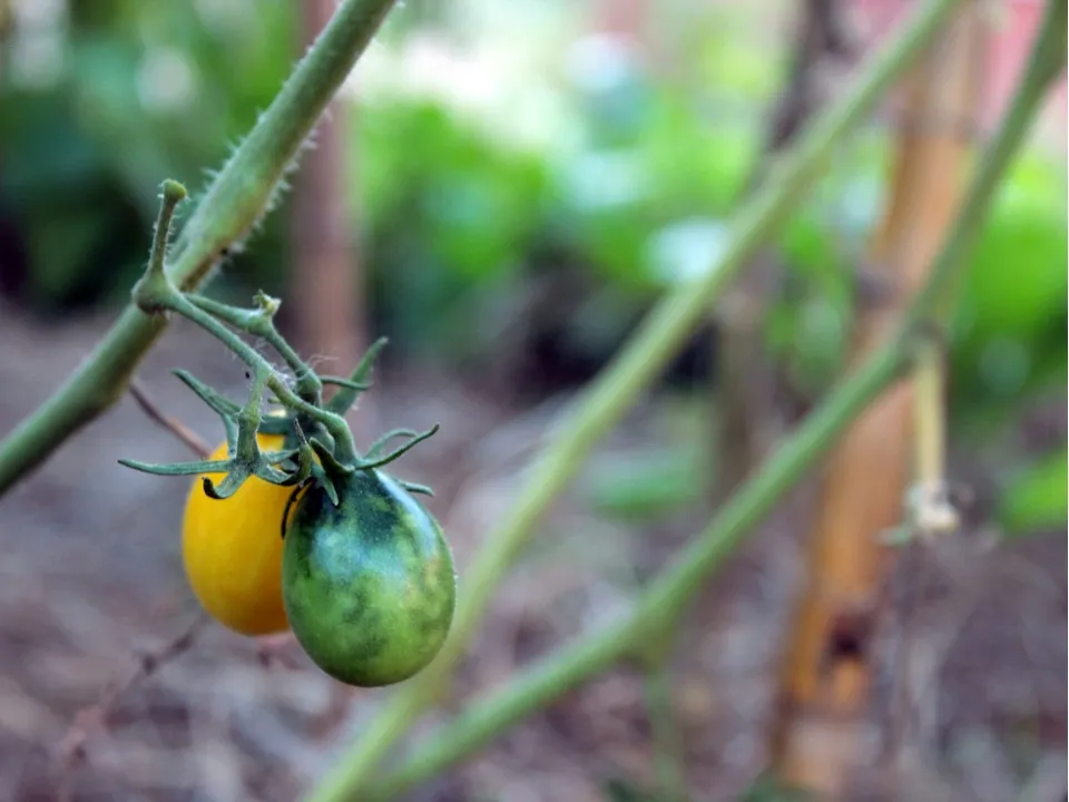 Фото: unsplash.com