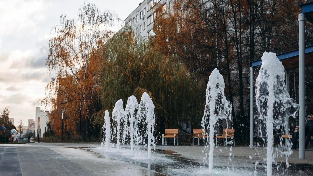 Фото: пресс-служба администрации г.о. Щелково