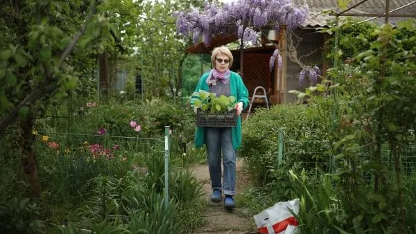 Юрист Никитин рассказал способы решения споров между соседями