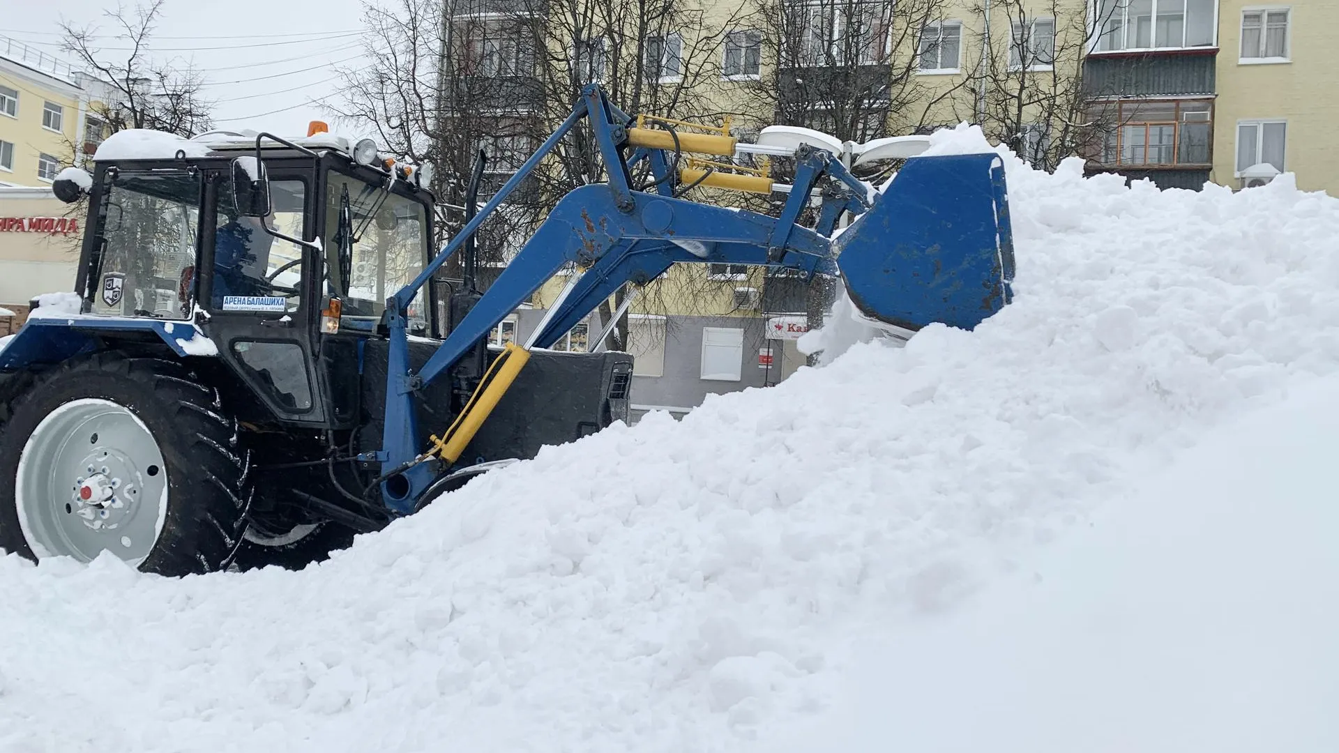 Ирина Мальцева