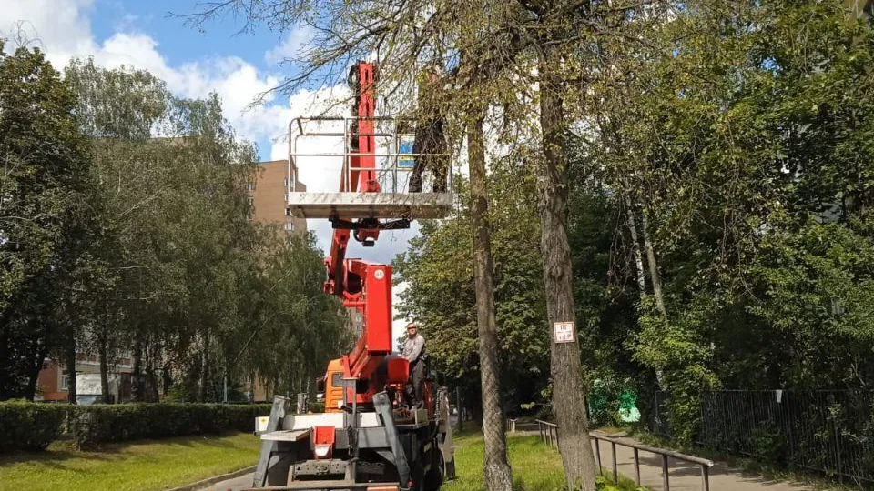 Пресс-служба администрации городского округа Королев