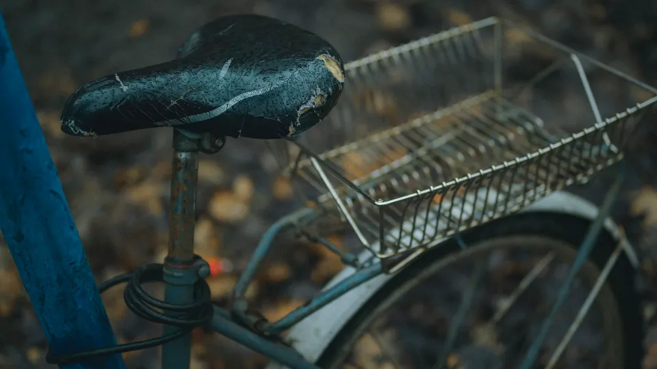 Фото: unsplash.com