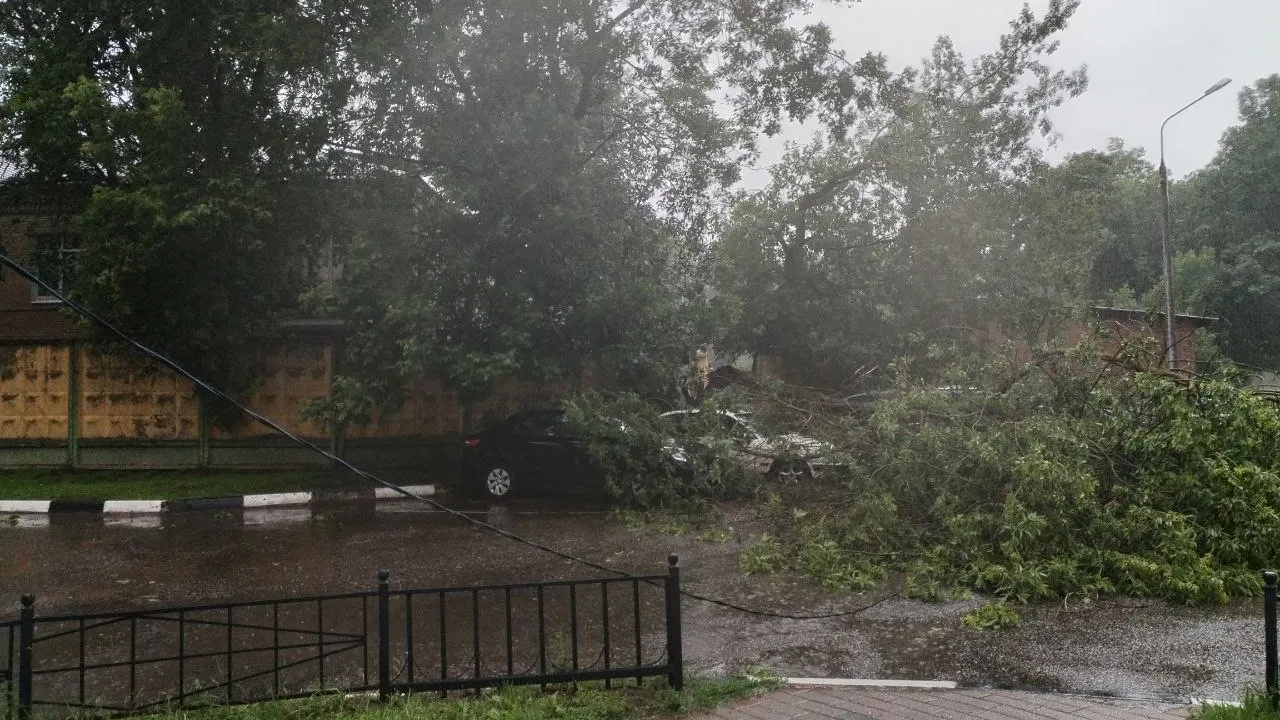 Фото: соцсети