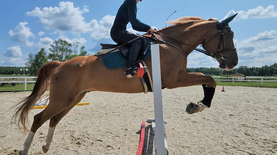 Фото: Андрей Семибратов